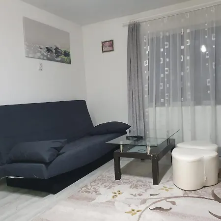 Casa Sandu Holiday home