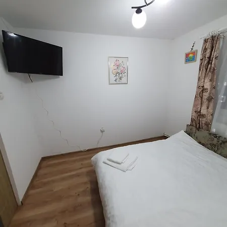 Casa Sandu Holiday home