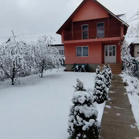 Casa Sandu Holiday home